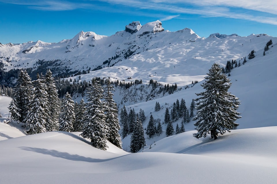 Hiver, Hochybrig, Préalpes, Swiss Alps, Suisse